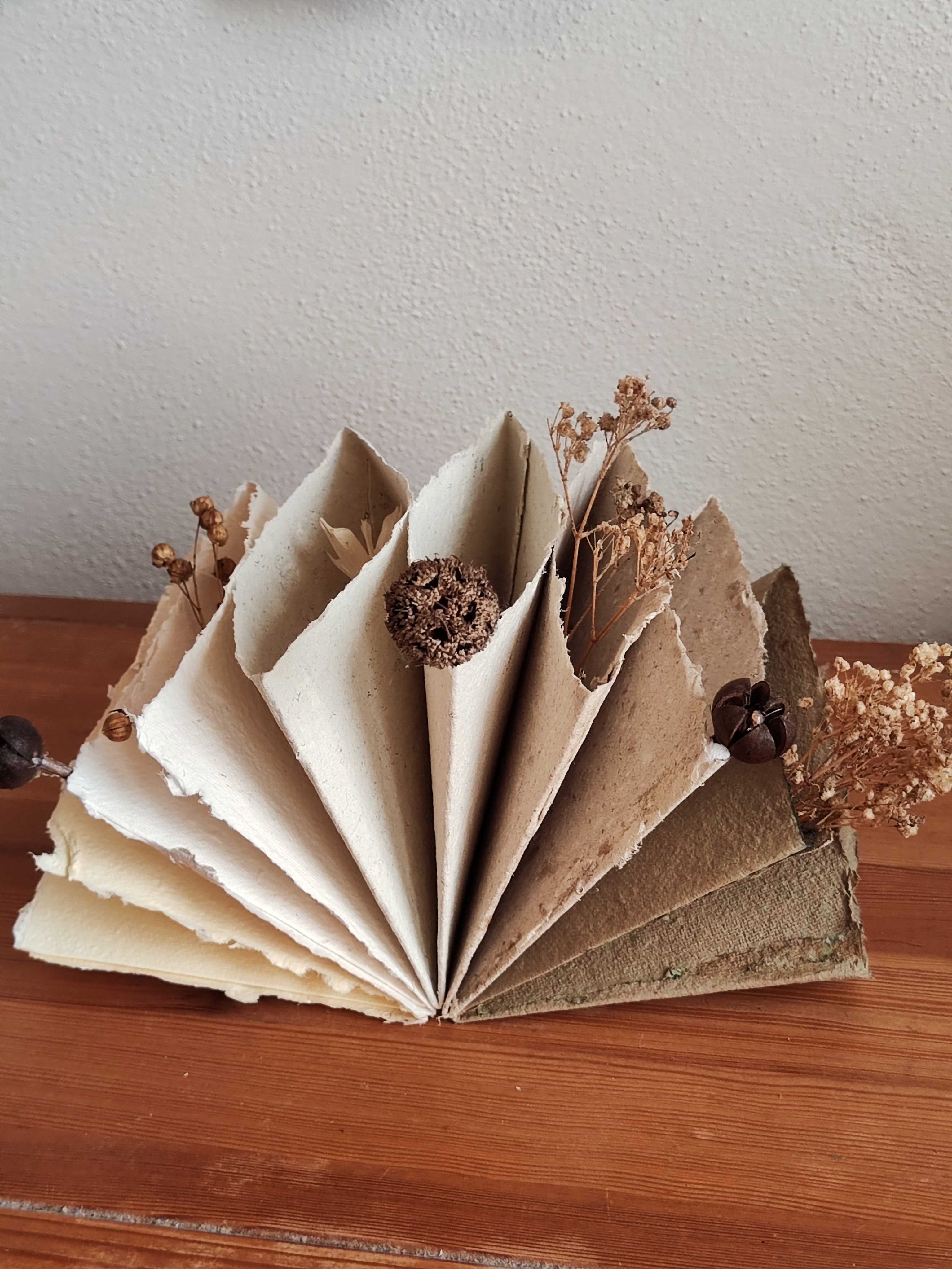 folder with pockets