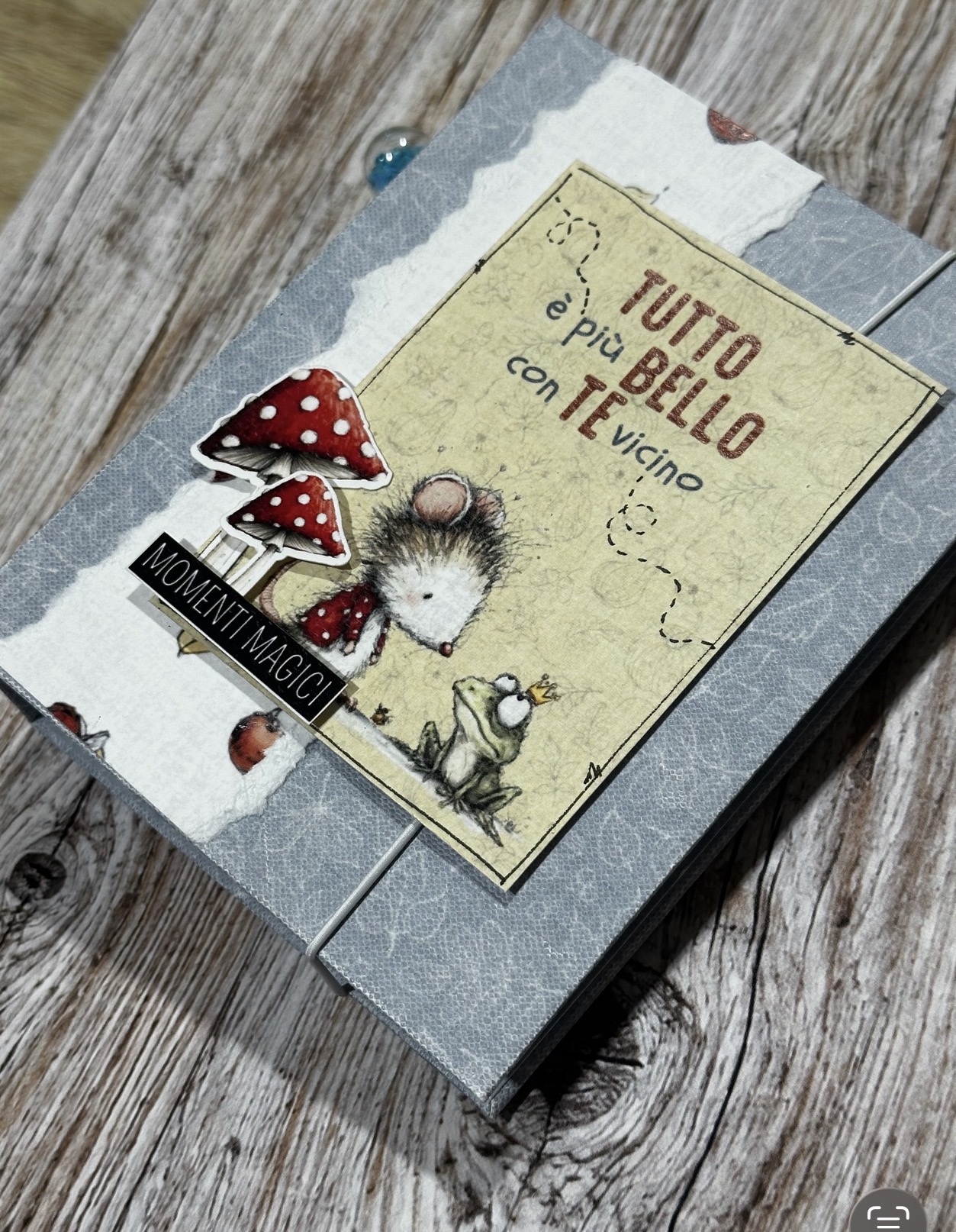 Mini album PICCOLE DELIZIE