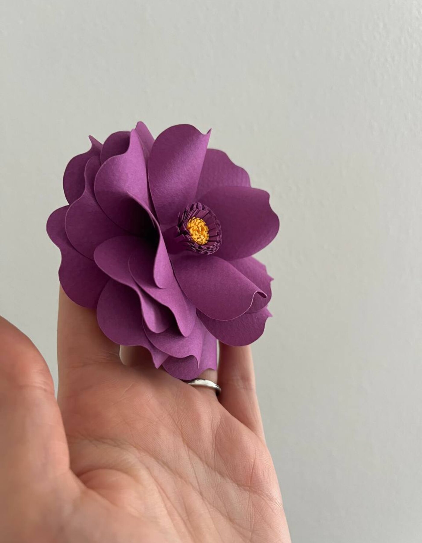 Stessa forma, doppio fiore
