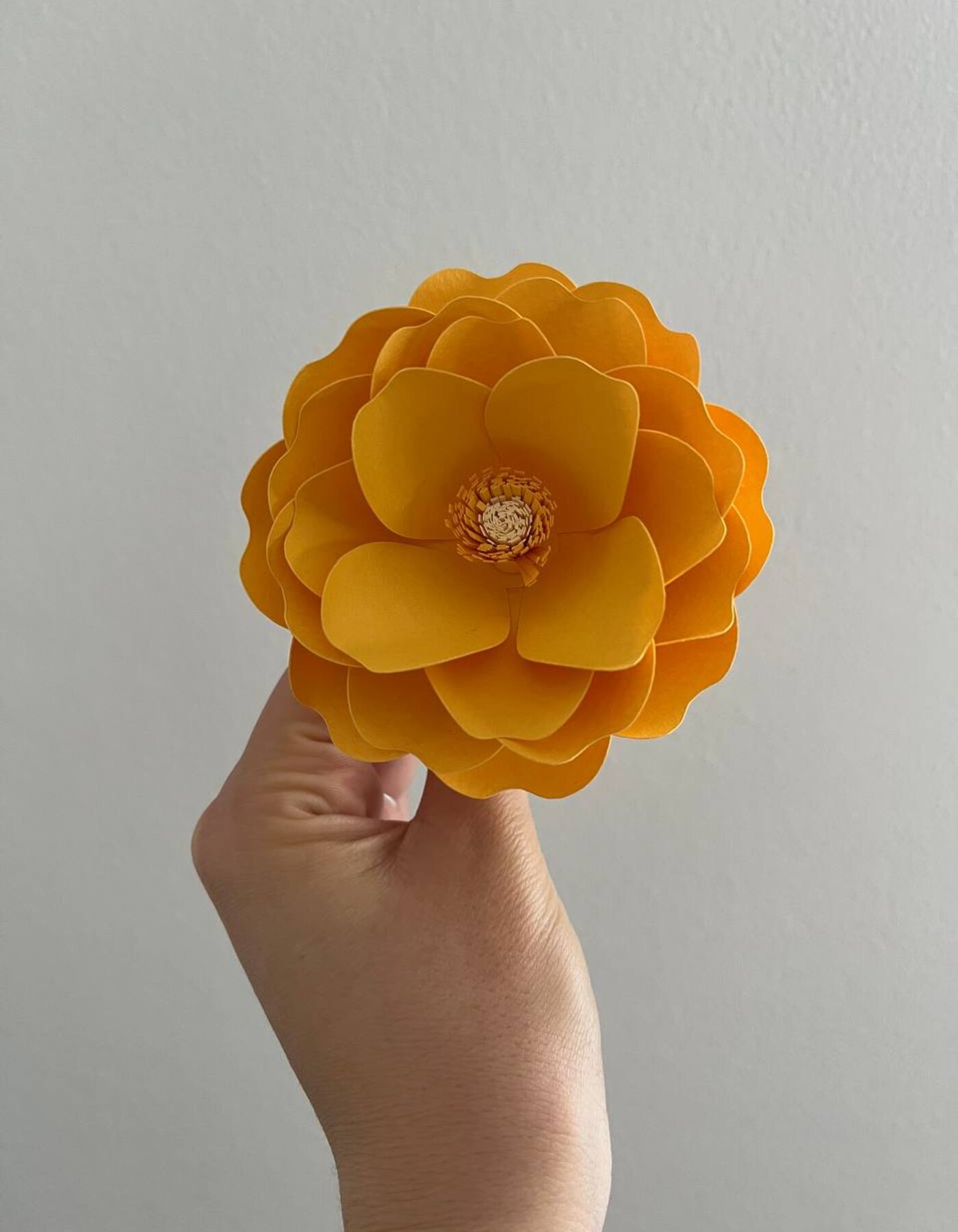 Stessa forma, doppio fiore di carta