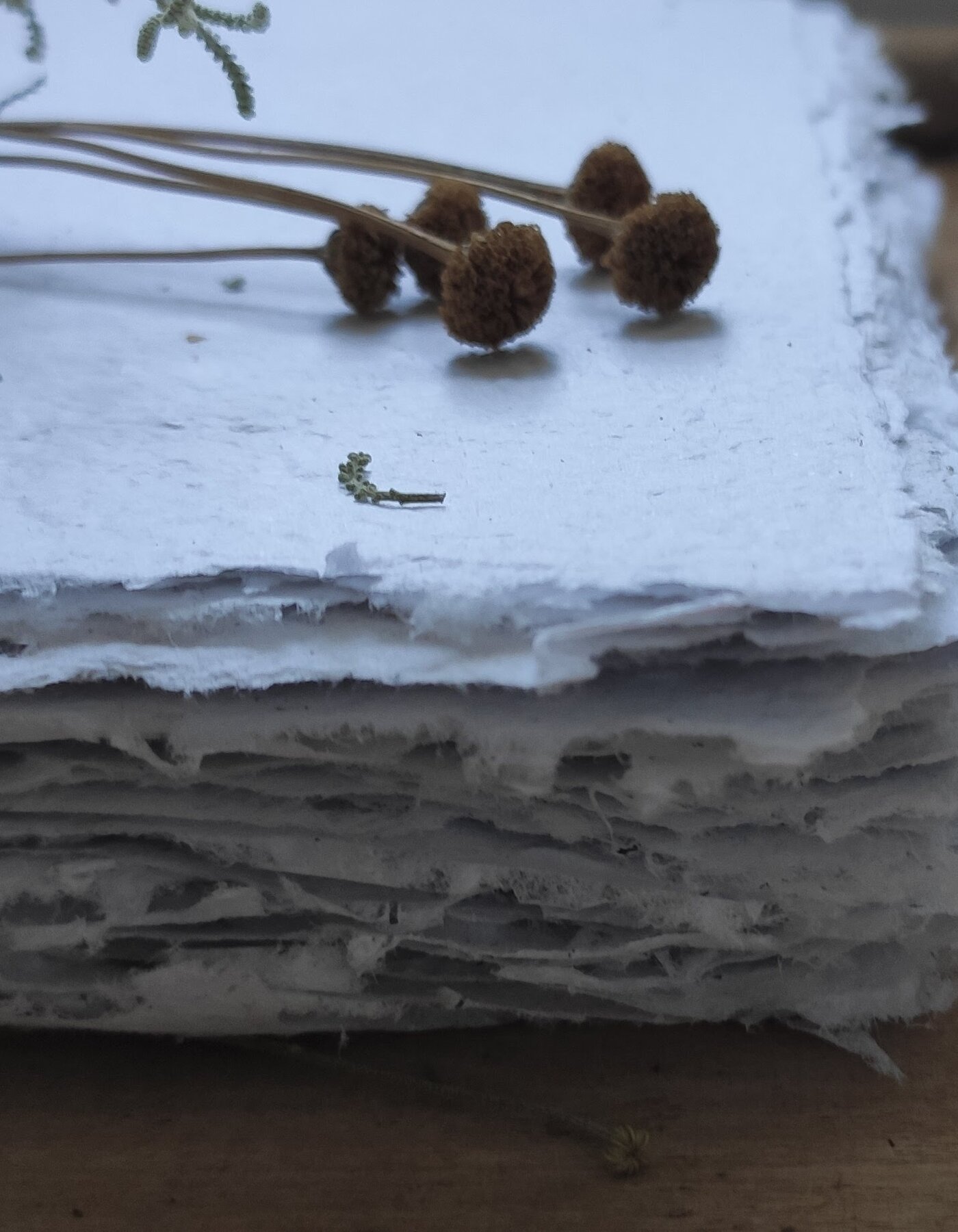 Trame di carta:L’arte di trasformare la carta usata in nuovi fogli