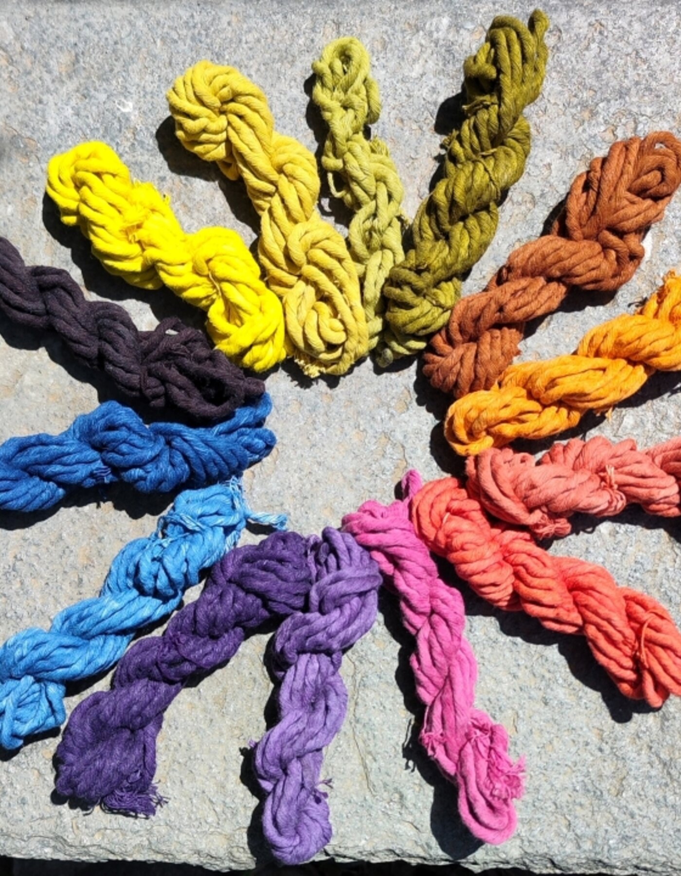 Cotton, hemp, and linen dyeing course: learn how to dye plant fibers with dye plants!