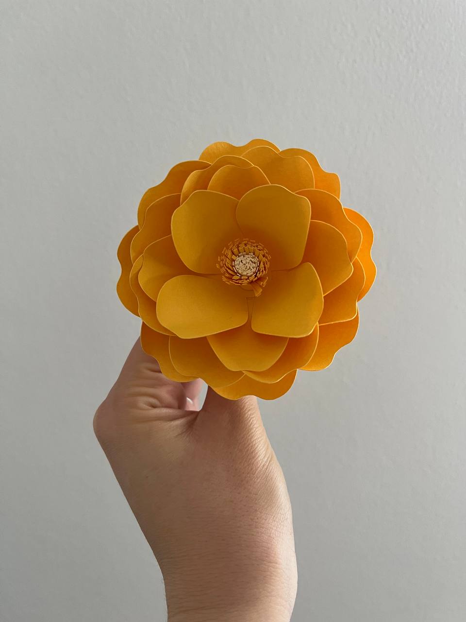 Stessa forma, doppio fiore di carta