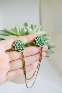Succulent plants pins