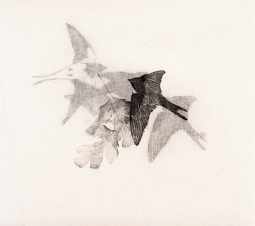 Swallows in Migration #02, 2022
