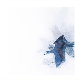 Swallows in Migration #01, 2022