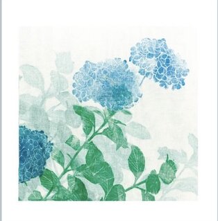 Hydrangea #01, 2024