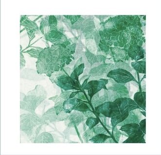 Hydrangea #02, 2024