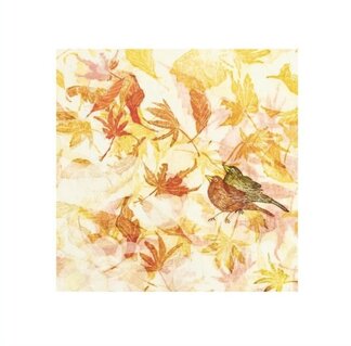 Blackbird in Autumn #02, 2024