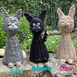 Felix, Romeo e Cloe: tre simpatici gattini