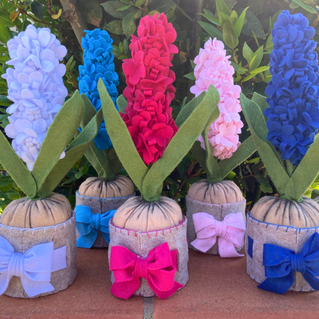 giacinti in pannolenci